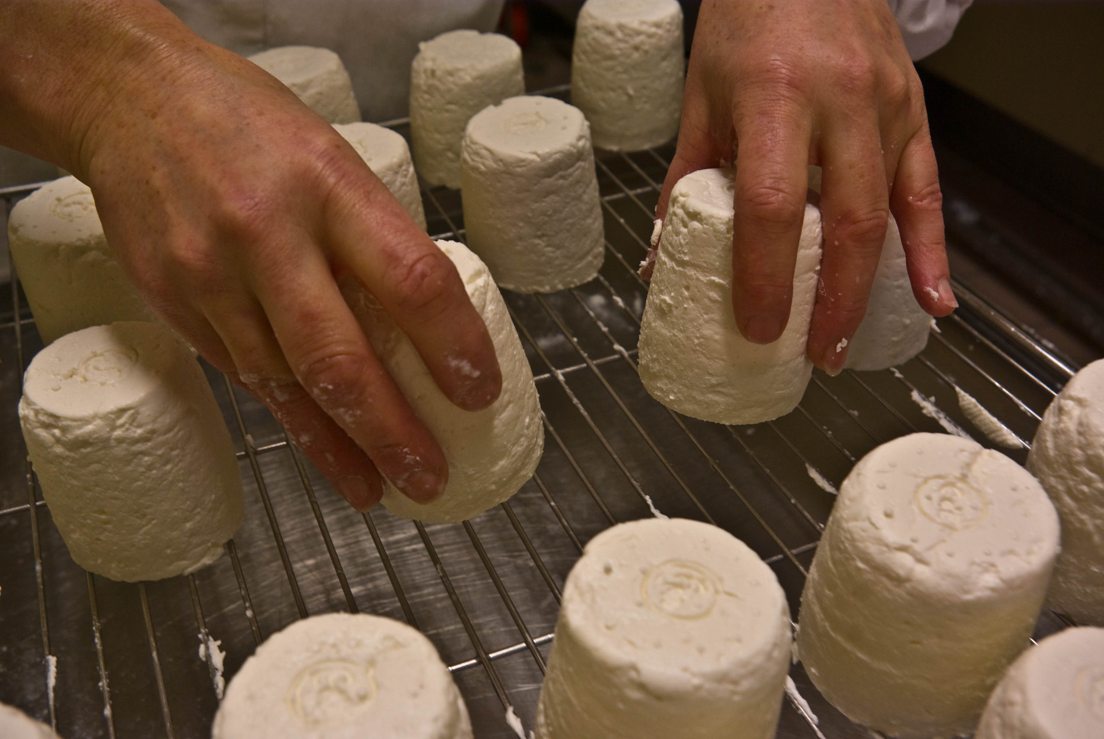 Annonces en Fromagerie